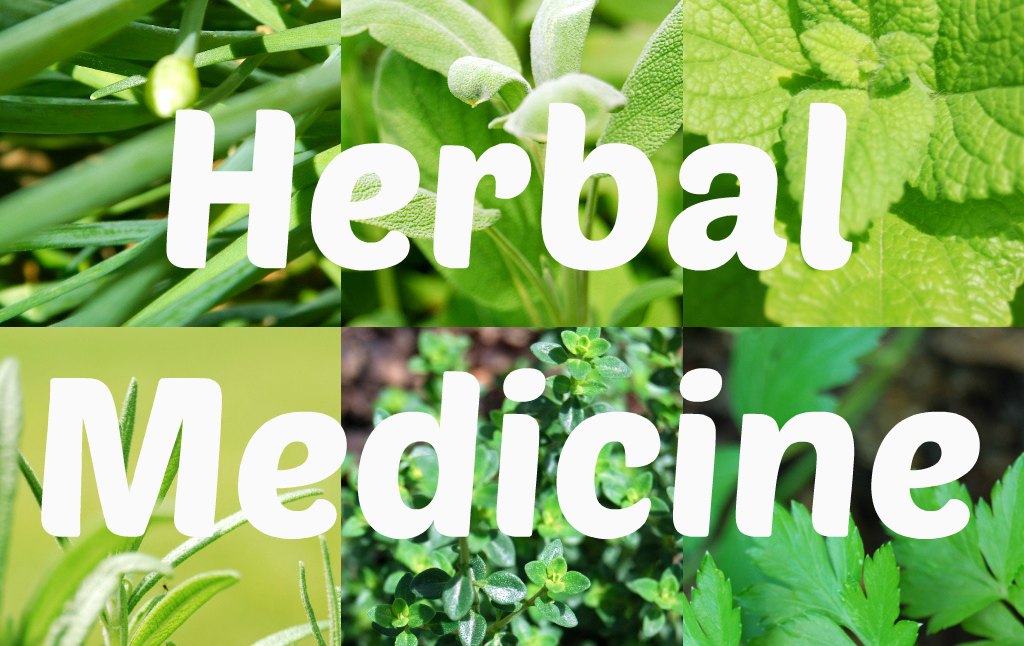 Best Herbal Plus